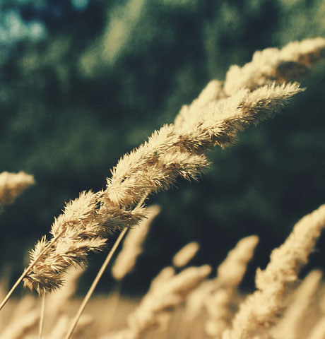 企业创新赋能的短信云呼轰炸