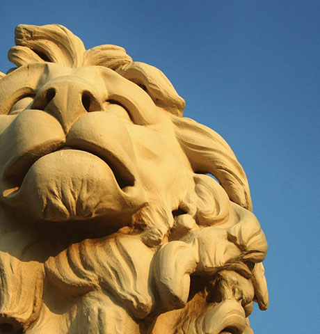 云呼死你网页版