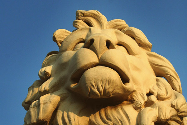 云呼死你网页版